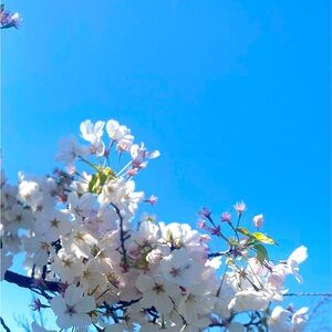 Meet your Posher, Nina